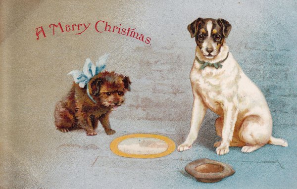 Dogs pavement artist postcard 1904